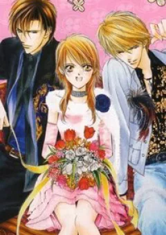 Thử Thách Của Kyouko