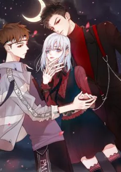 Đêm Ngày Không Dứt