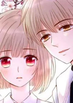 Đóa Hoa Chớm Nở