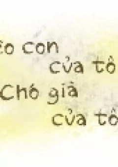 My Young Cat and My Old Dog