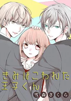 Kimi wa Kowareta Ouji-kun