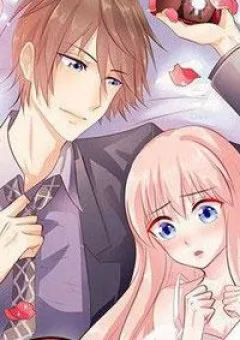 Bản Hợp Đồng Của Tổng Tài Lạnh Lùng