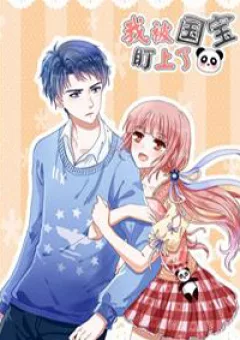 Tôi bị gấu trúc nhìn trúng rồi