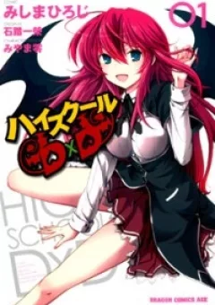 High School DXD
