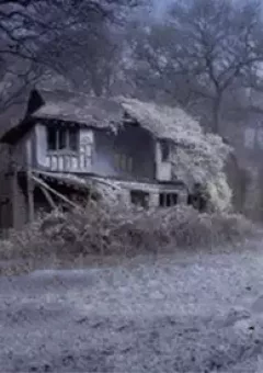 Ngải! Cuộc Đời Của Tôi (Phiên Bản Chính Thức) ...