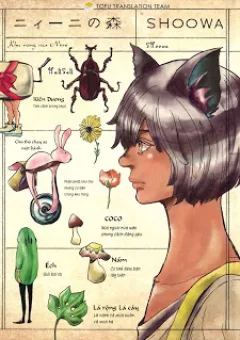 Khu rừng của Niini