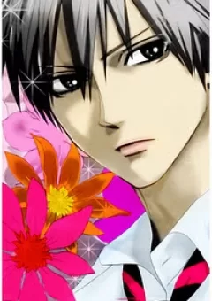 Chàng Trai Hoàn Hảo