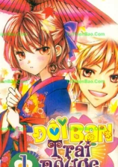 Đôi Bạn Trái Ngược