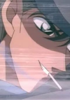 19 show diễn chú bướm đỏ lang thang