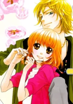 Sengoku Danshi Hana no Ran