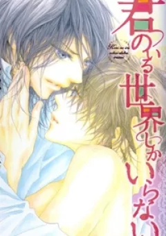 Kimi No Iru Sekai Shikairanai