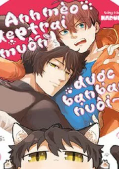 Anh Mèo Đẹp Trai Muốn Được Bạn Bao Nuôi