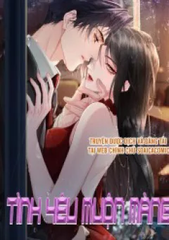 Tình Yêu Muộn Màng