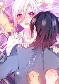 Hắc Đạo Này Có Chút Manh