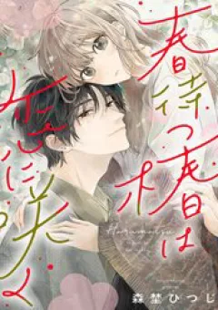 Hoa Trà Đợi Xuân Nở Yêu Thương