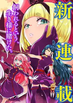 Mato Seihei No Slave