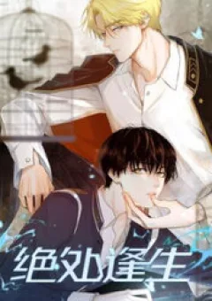 Tuyệt Xử Phùng Sinh