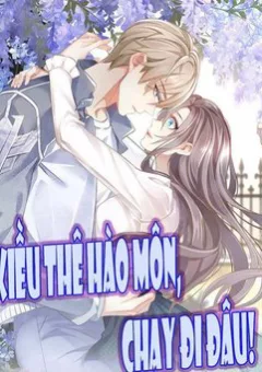 Kiều Thê Hào Môn Chạy Đi Đâu